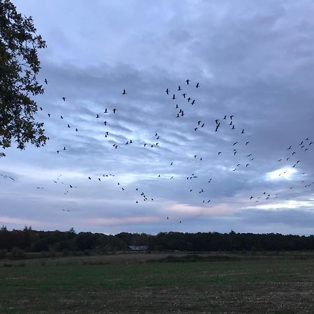 Vakantiehuis Appelvink, Toplocatie In Bosrijke Omgeving Oisterwijk Exteriér fotografie