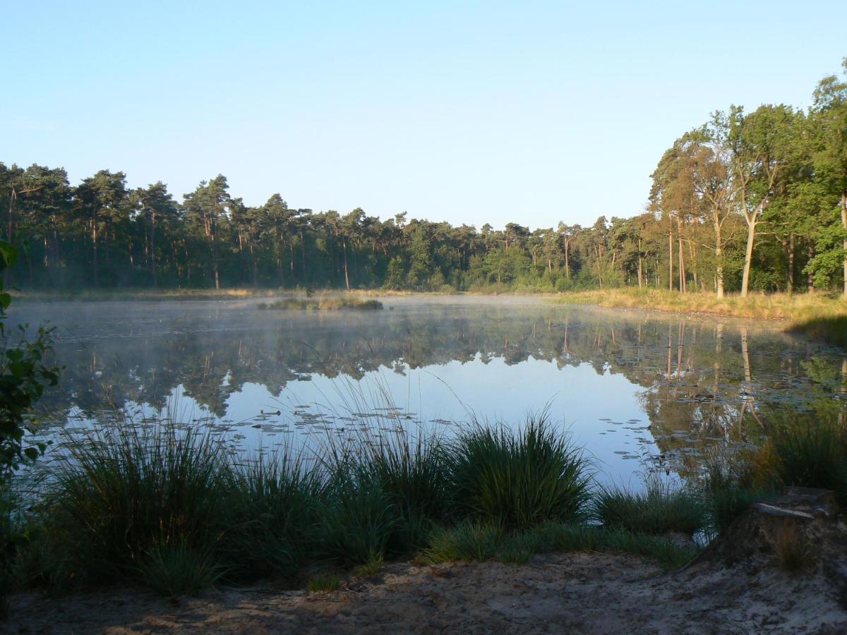 Vakantiehuis Appelvink, Toplocatie In Bosrijke Omgeving Oisterwijk Exteriér fotografie