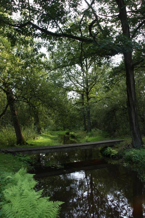 Vakantiehuis Appelvink, Toplocatie In Bosrijke Omgeving Oisterwijk Exteriér fotografie