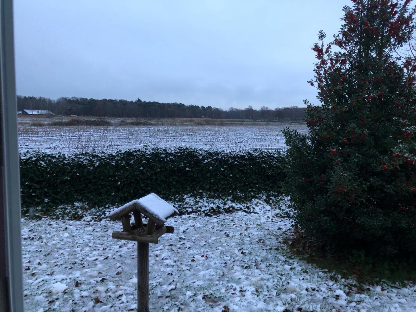 Vakantiehuis Appelvink, Toplocatie In Bosrijke Omgeving Oisterwijk Exteriér fotografie